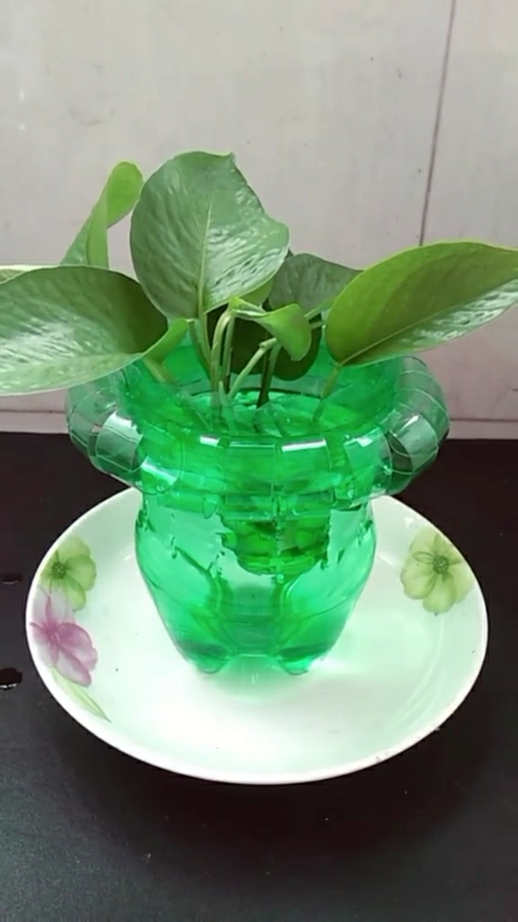 优秀如我#雪碧瓶子做的花盆