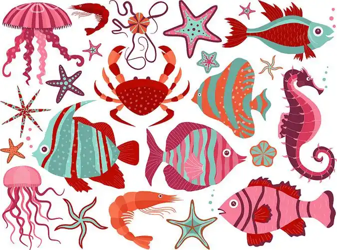 海洋生物图片素材
