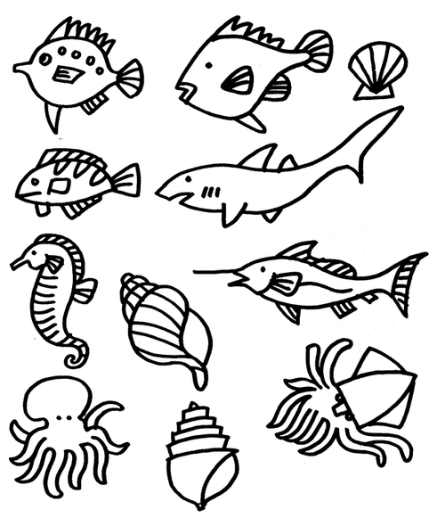 怎么画海洋动物一百种(海洋动物怎么画)(1)