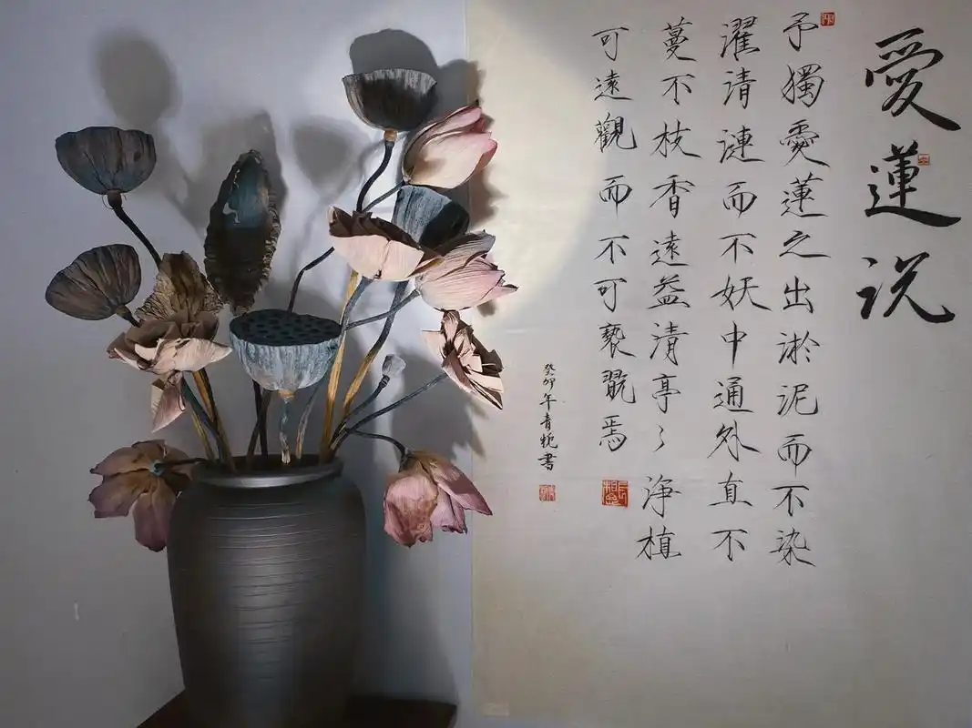 爱莲说.予独爱莲之出淤泥而不染,濯清涟而不妖,中通外直,不蔓 - 抖音