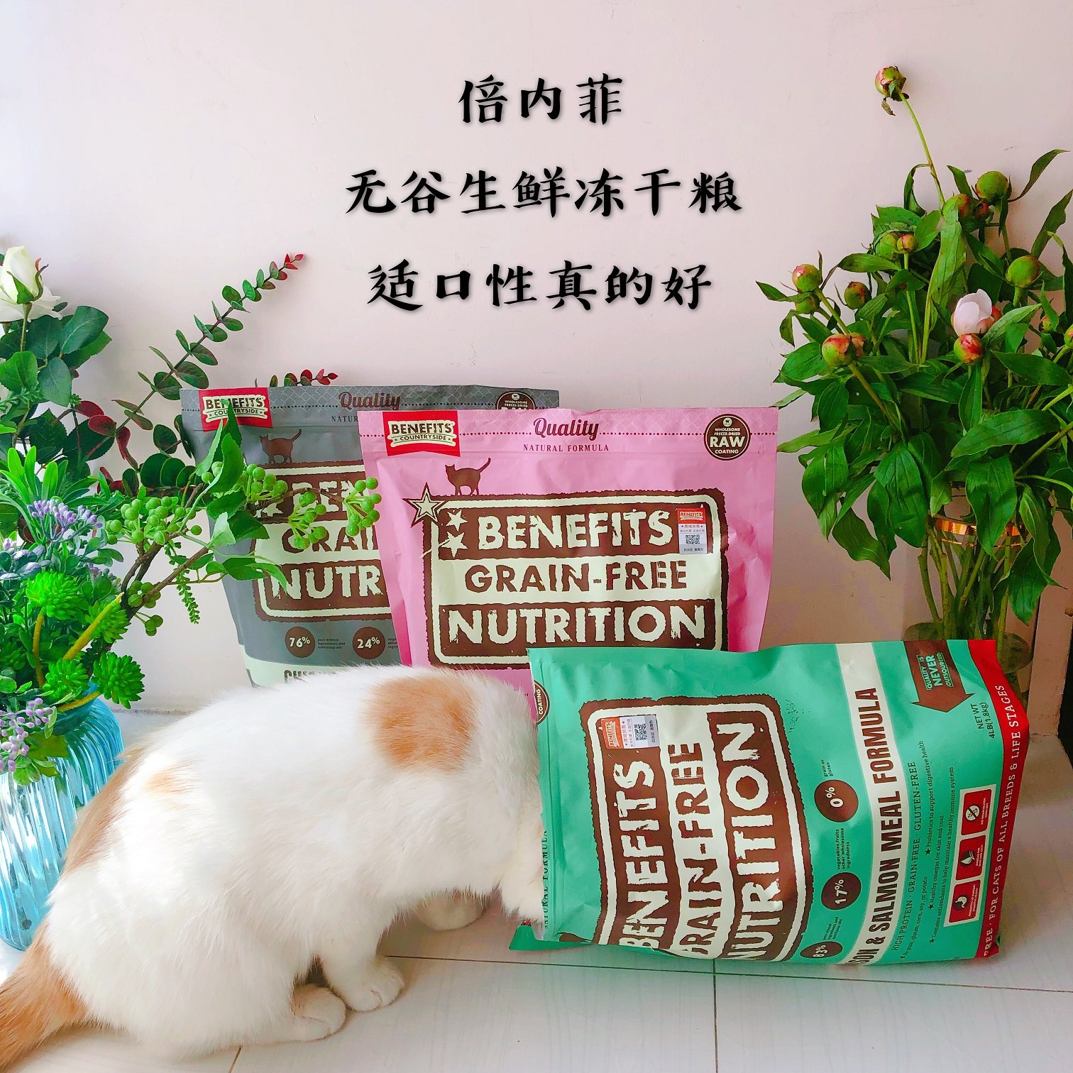 一折优菲猫_优质国产猫粮· 倍内菲无谷冻干猫粮6.