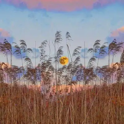 2020微信头像风景图片大全 适合老年人的头像图片 - 微信头像 - 潮人