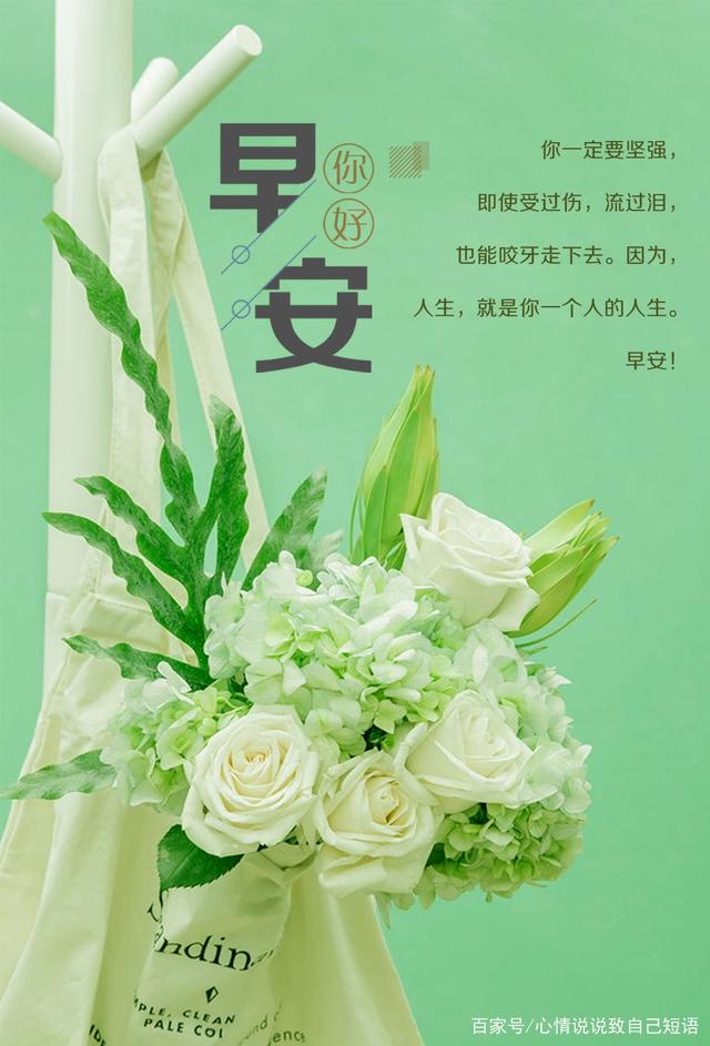 朋友圈早安正能量短句,美好的每一天早安图片,让人如沐春风!