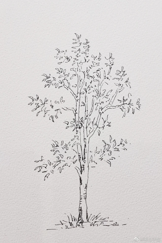树线稿