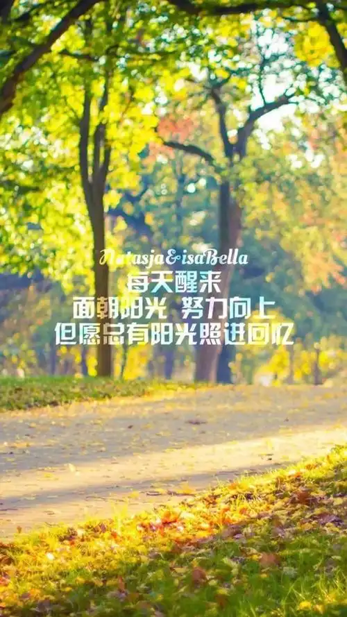 有关青春的美文美句毕业青春美文美句摘抄