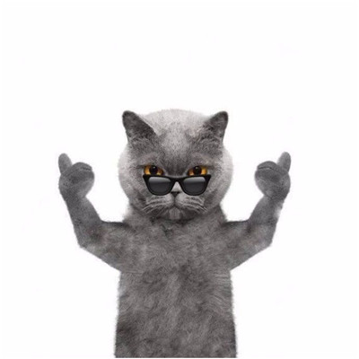 抖音霸气喵星人微信表情包图片