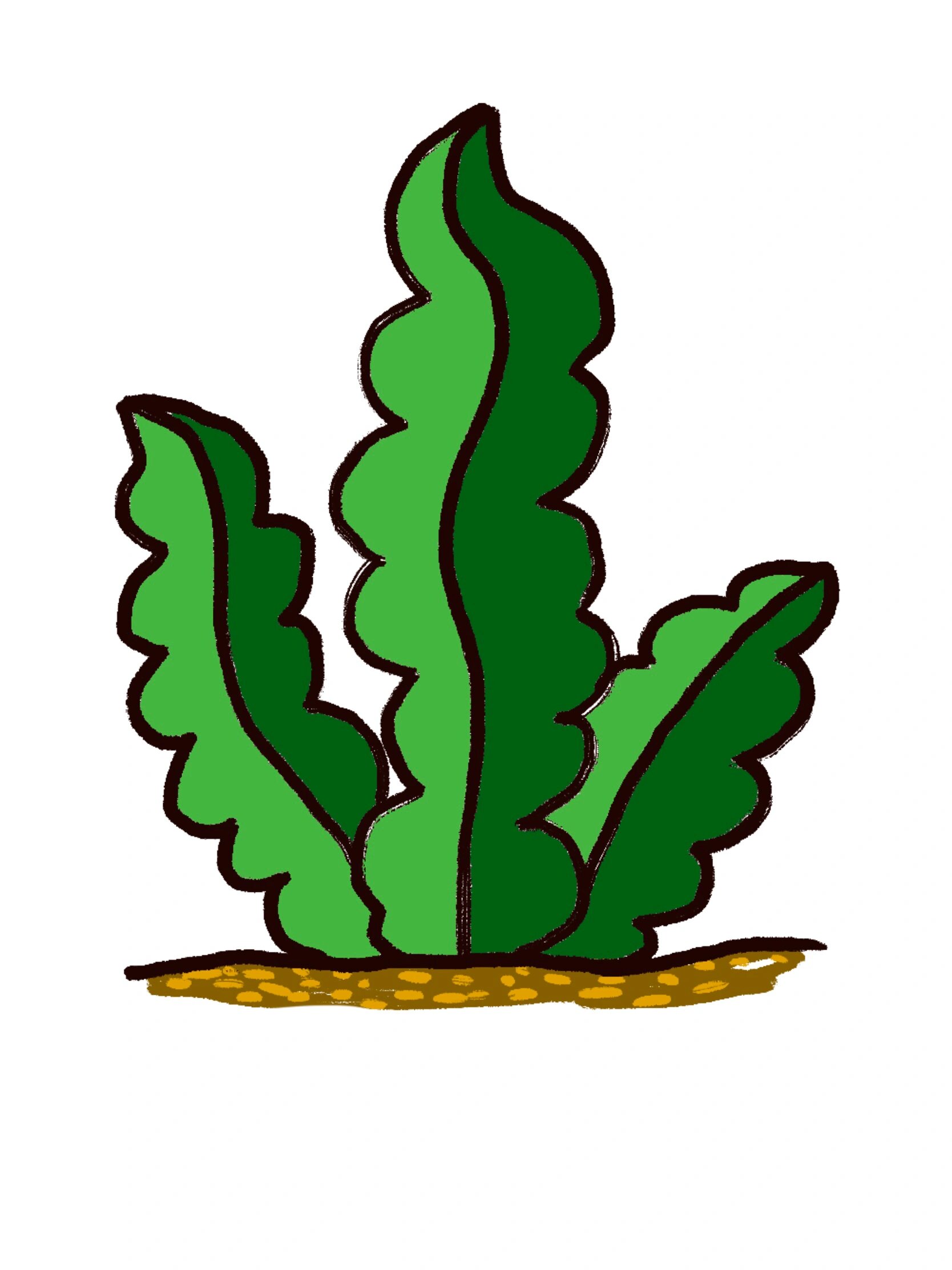 儿童简笔画—海草的画法84 儿童简笔画,儿童海草简笔画