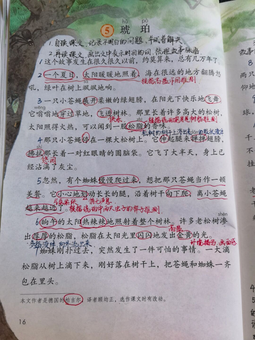 【备课笔记】四下语文《琥珀》