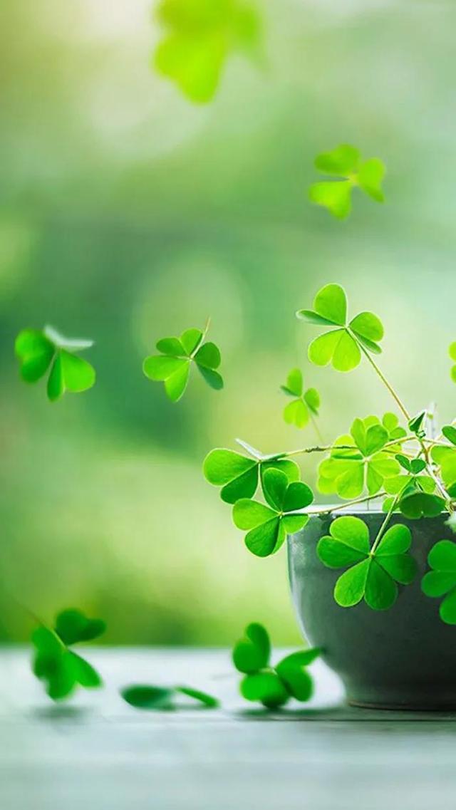 绿色背景图,绿色背景图卡通(护眼壁纸:绿色清新背景图)