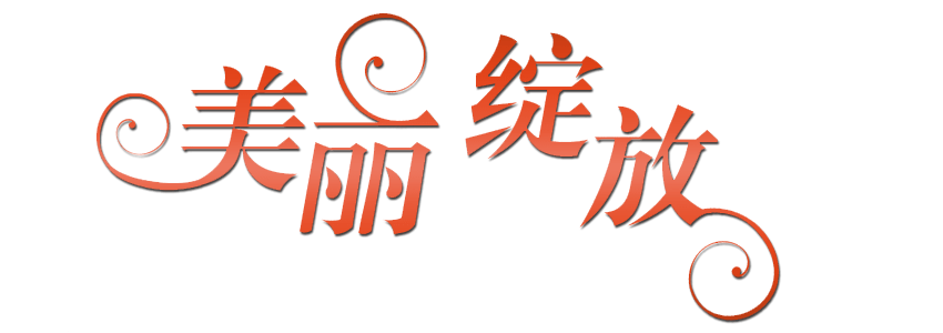 美丽字体设计图片大全