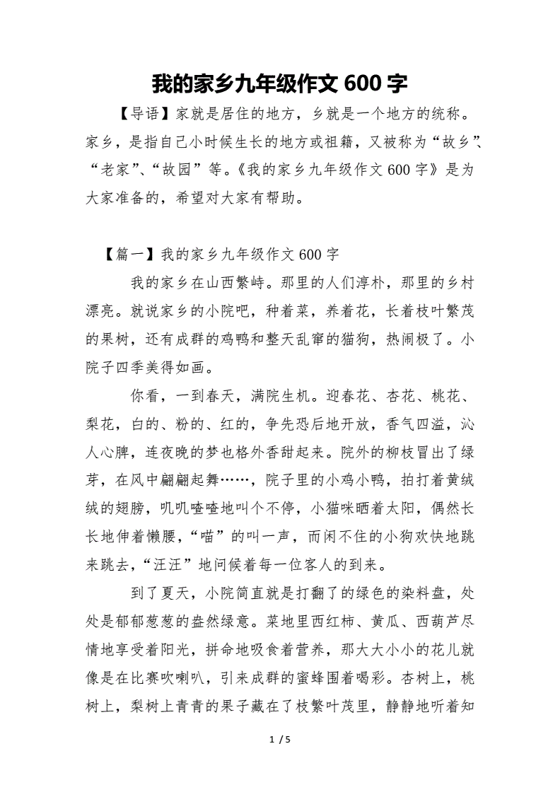 我的家乡九年级作文600字.docx-原创力文档