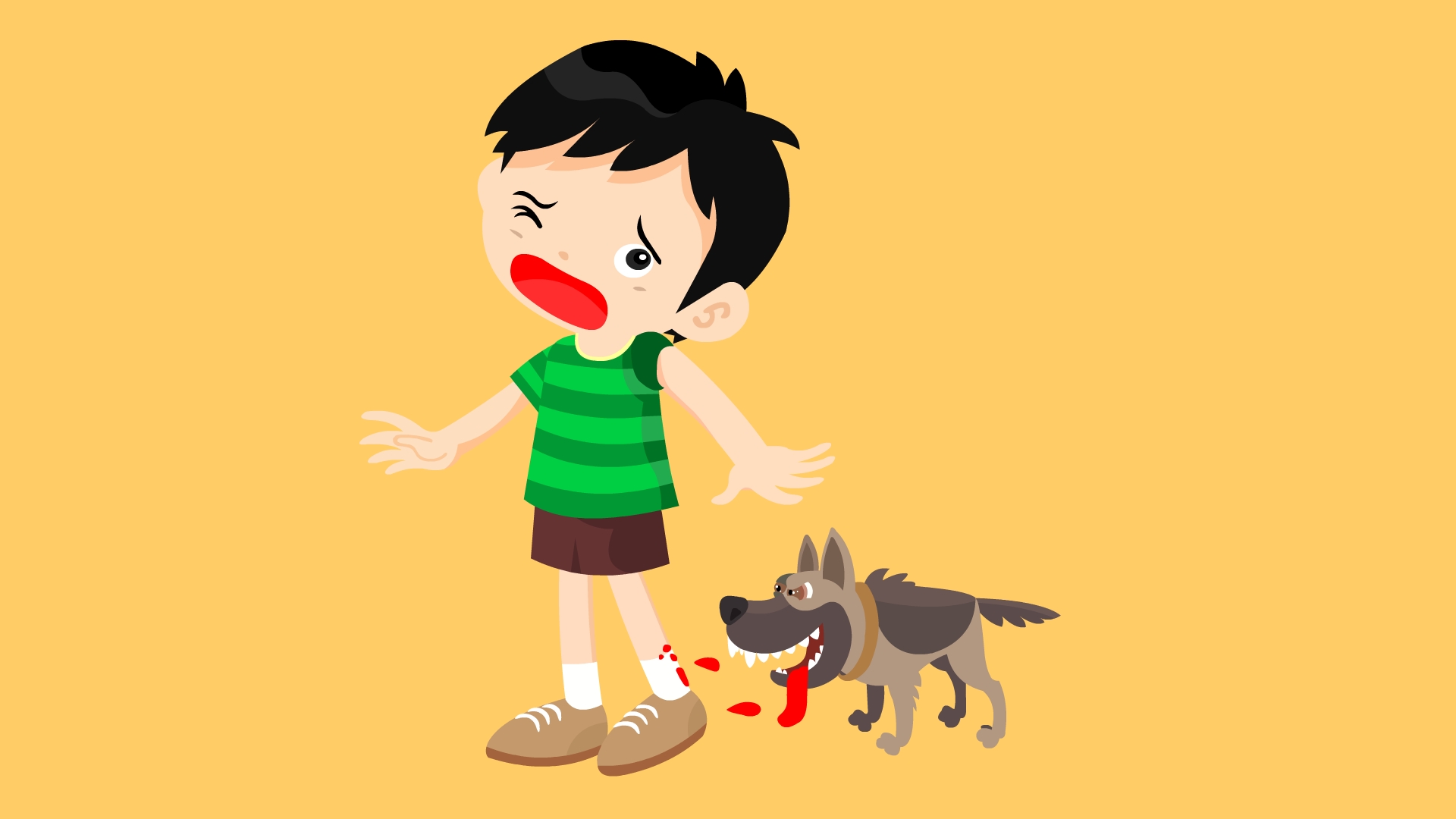 宠物咬伤的应急处理