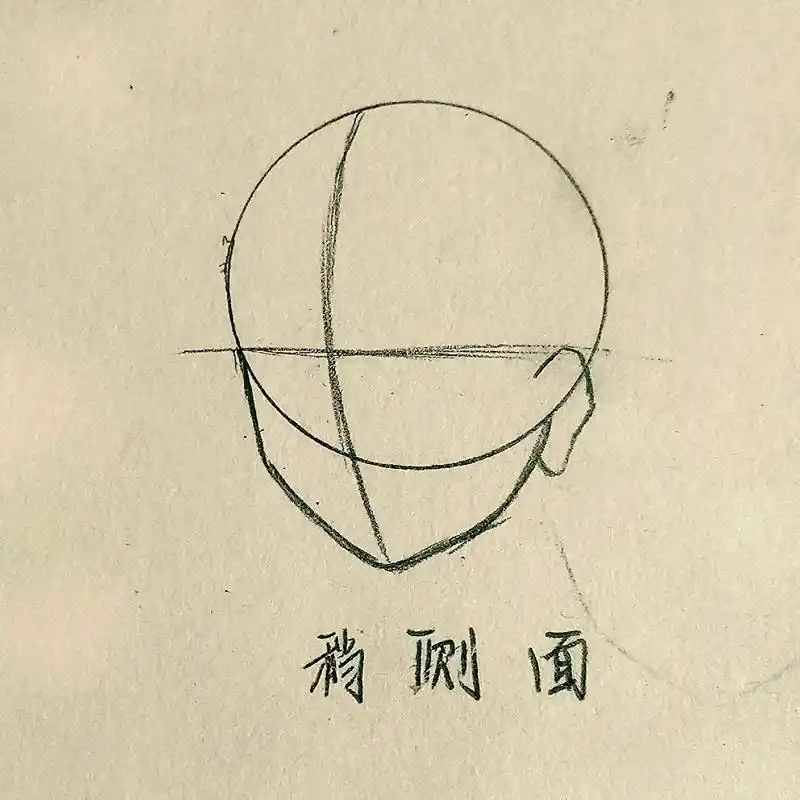 人脸结构教程.#绘画 #简笔画 #素描基础 - 抖音