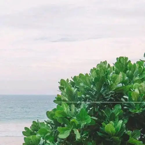 情侣头像 背景图‖qq微信‖遇见你,如沐春风_头像签名_尚斯网