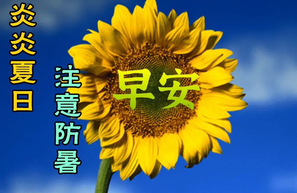 7张夏日最美早上好动态图片表情带字和鲜花,创意好看的夏日早安问候