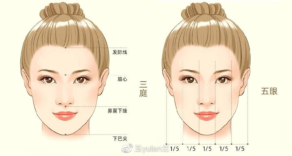 "三庭五眼","四高三低"的黄金比例.