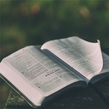 一本翻开的书头像