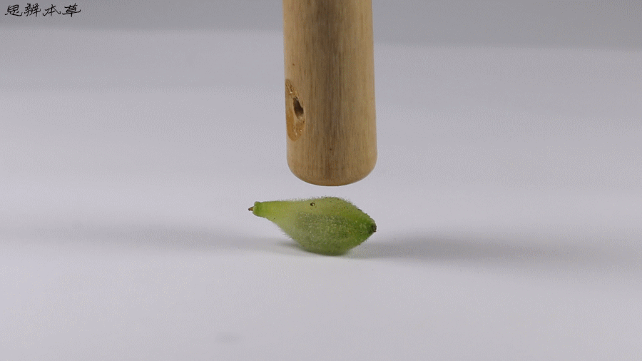 900_506gif 动态图 动图