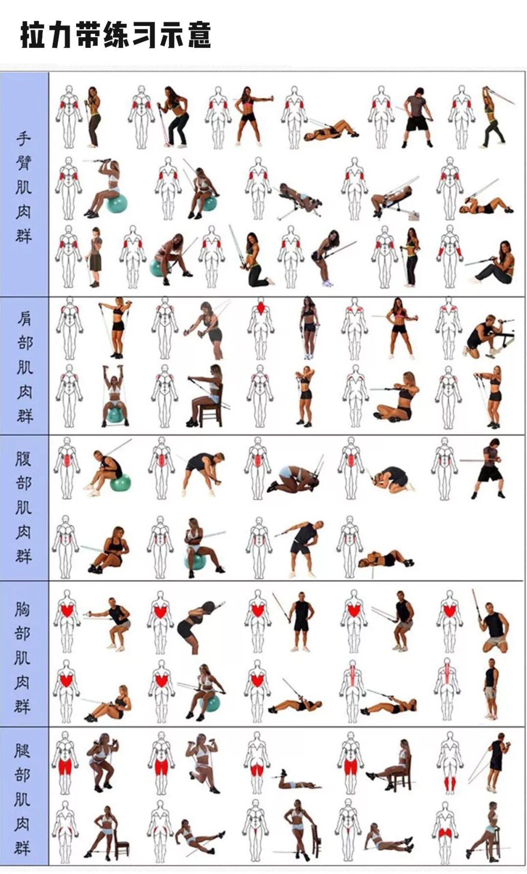 也并不一定完全相同还要注意预先刺激目标训练肌肉热身方式有很多种