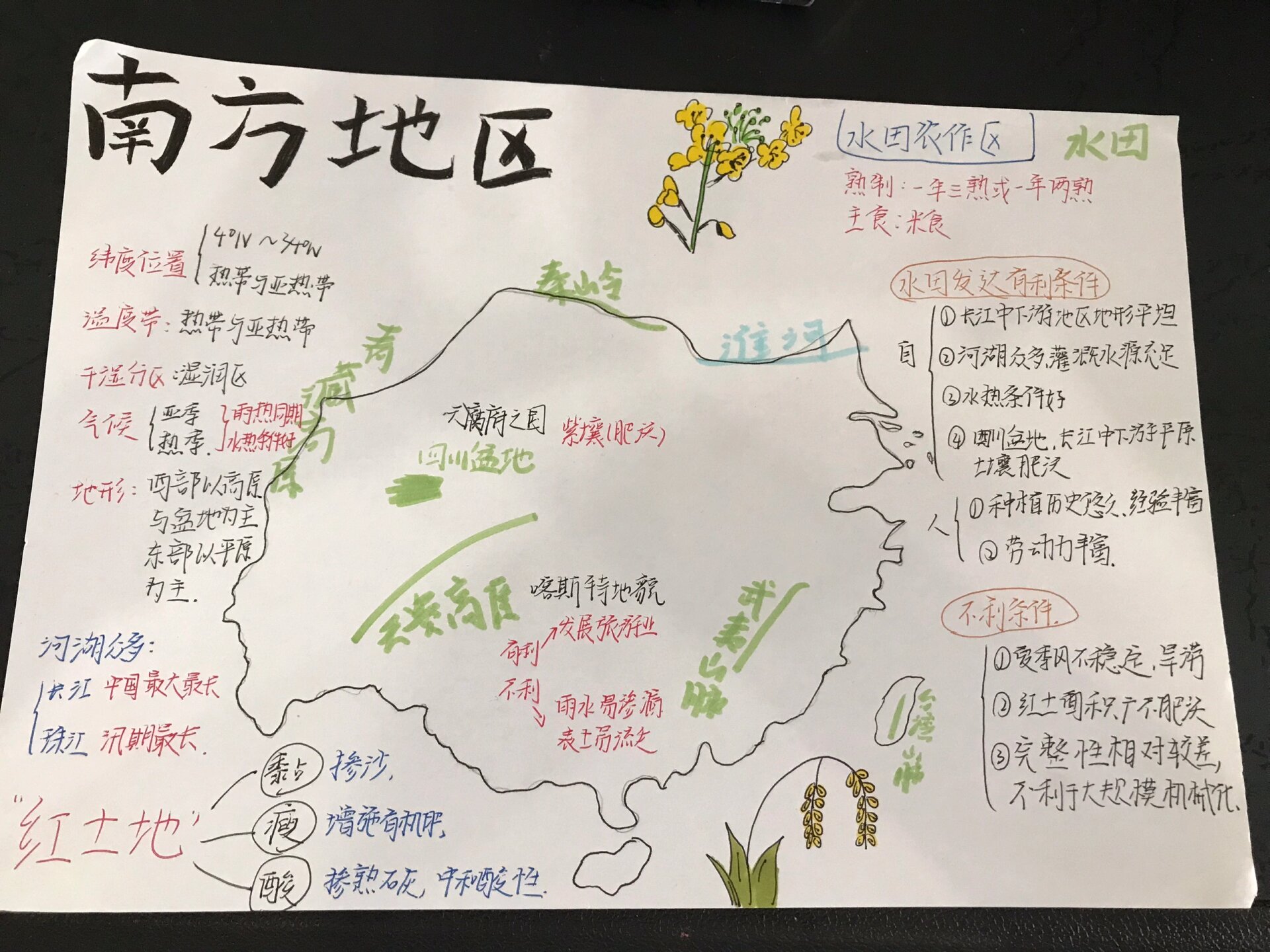 地理八下"南方地区"思维导图