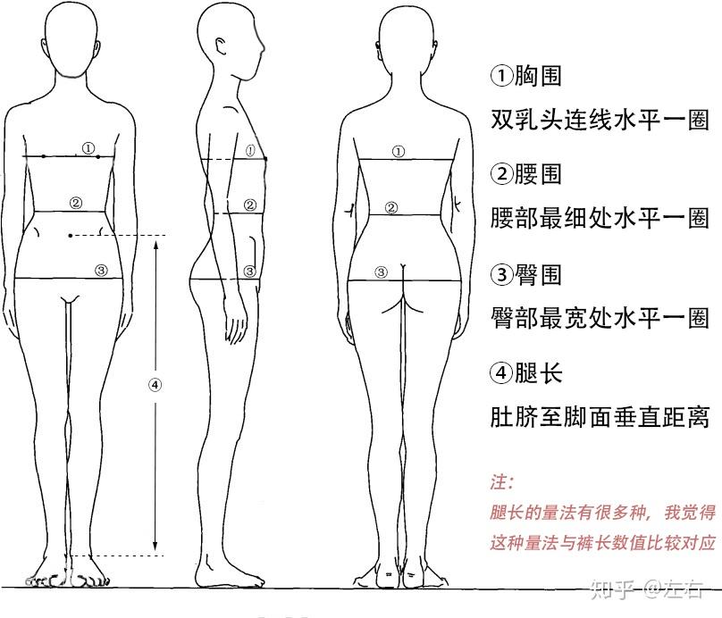 测量自己的三围和腿长数据