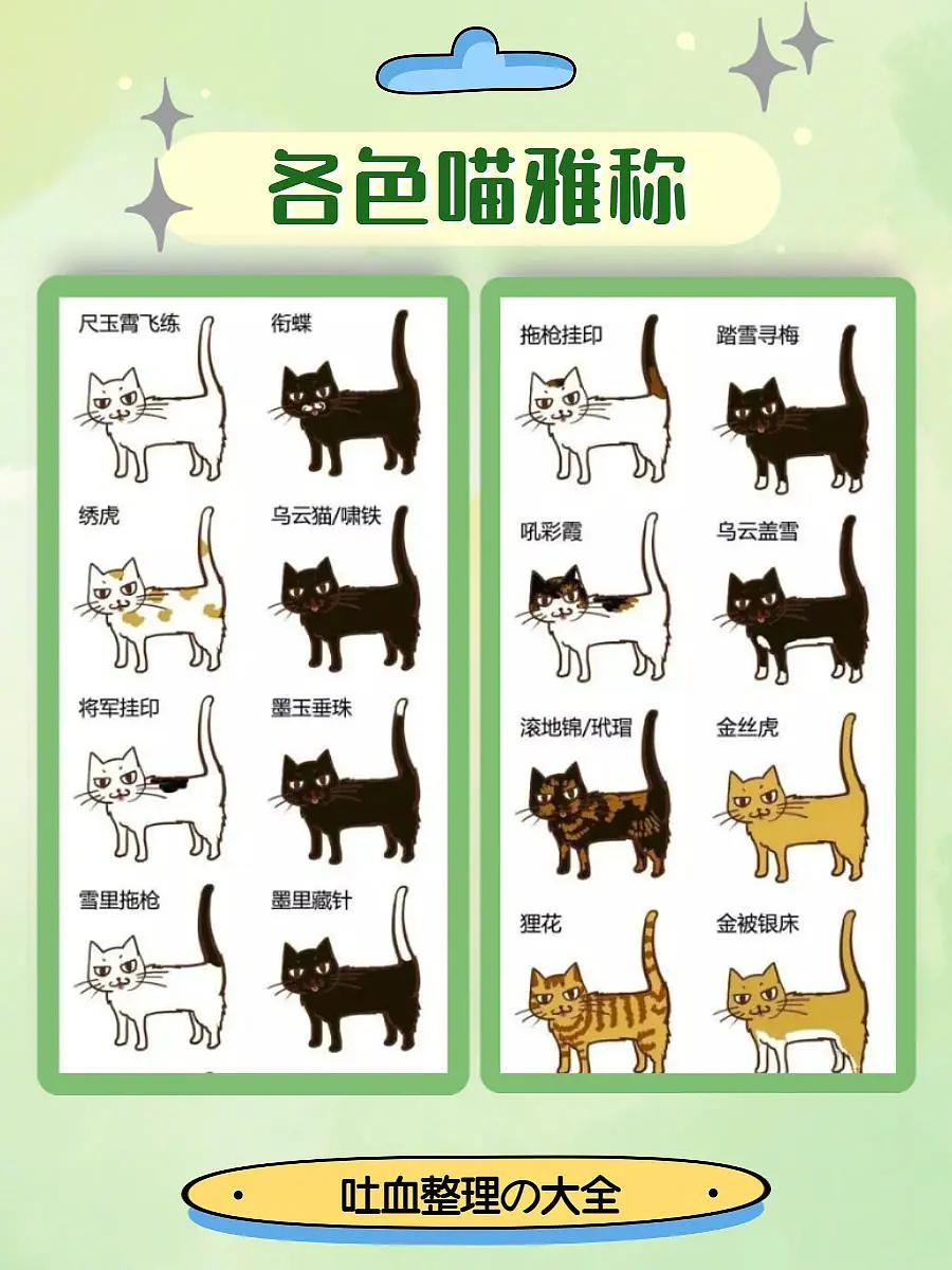 土猫分类7种中华田园猫和26种花色雅称