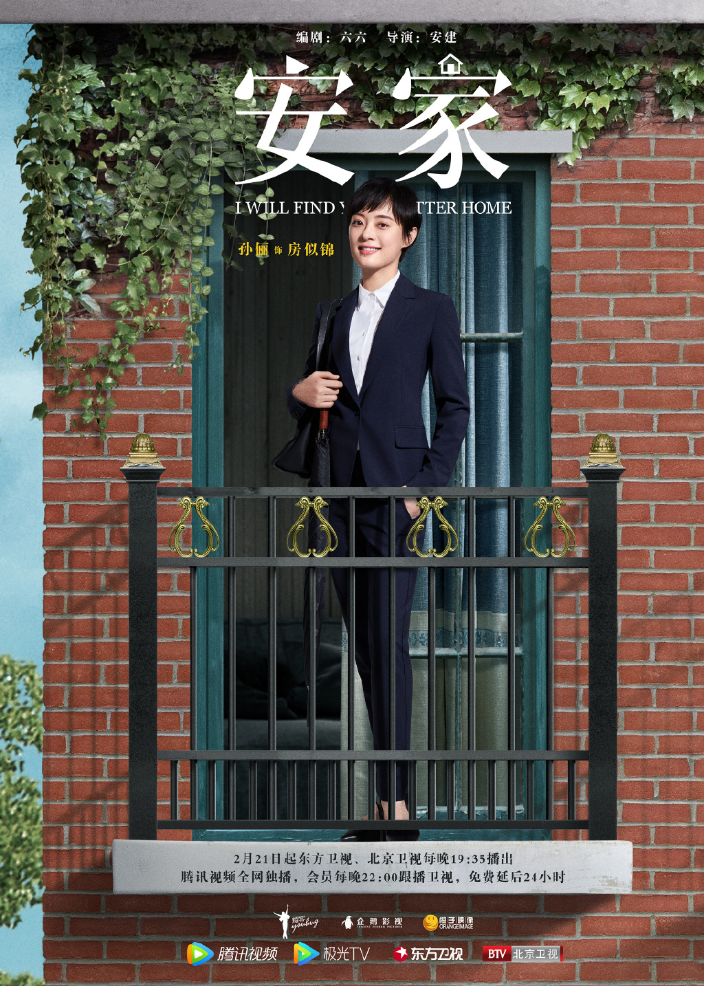 电视剧安家定档海报图片
