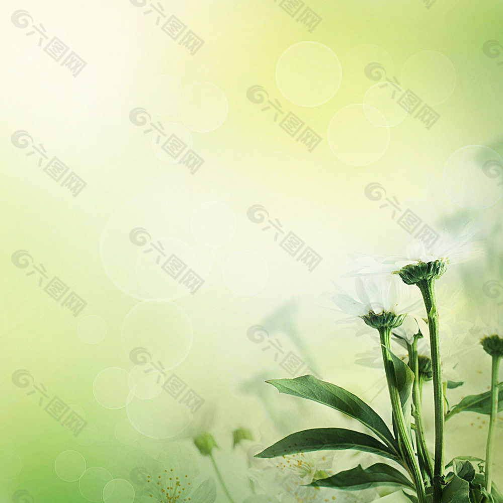 美丽鲜花背景边框背景素材免费下载(图片编号:5895813)-六图网