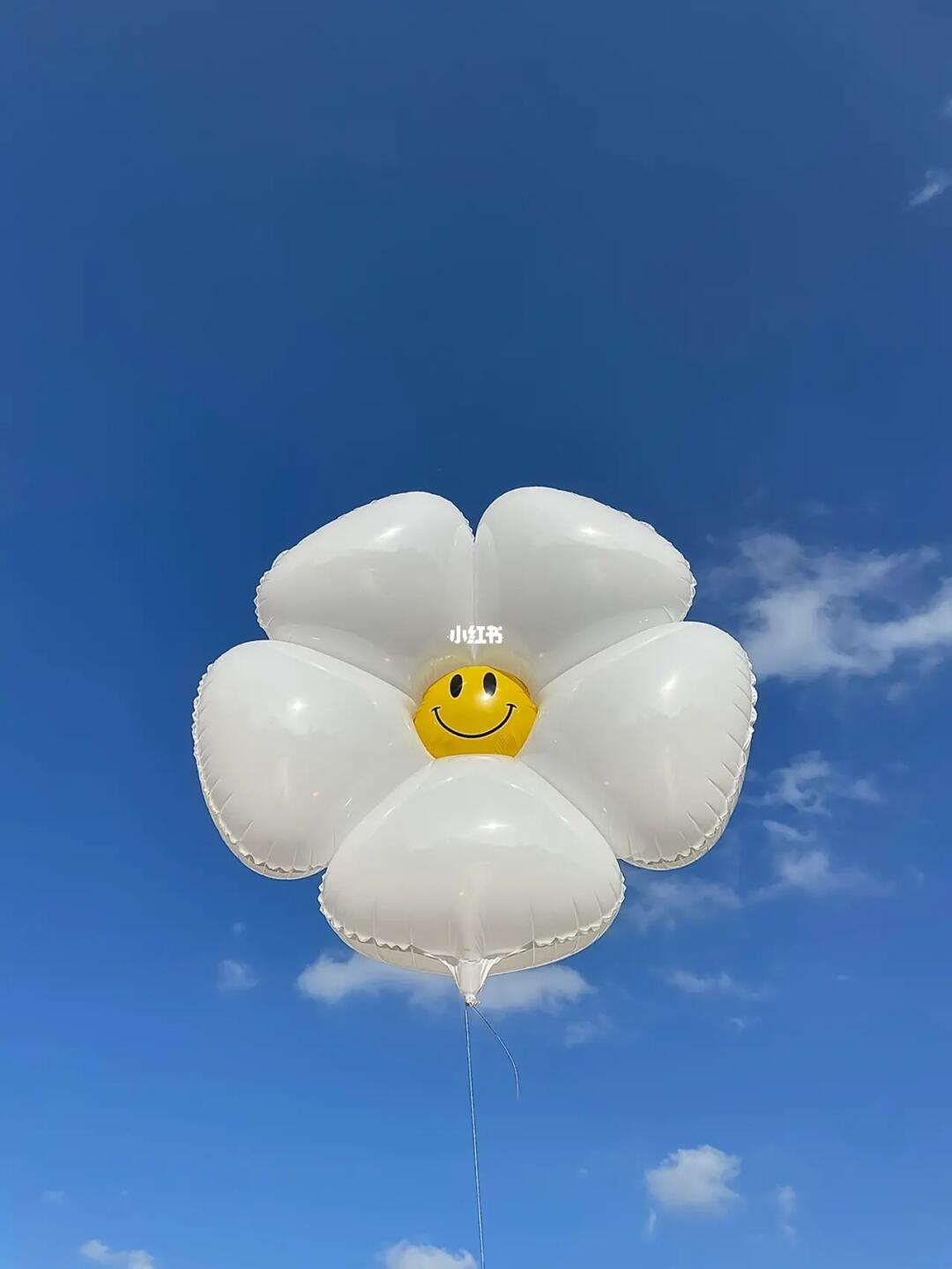 大家那边这个气球多少钱一个