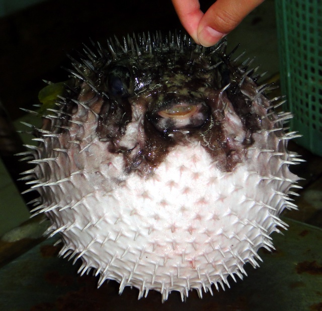 吹吹海风 发发呆