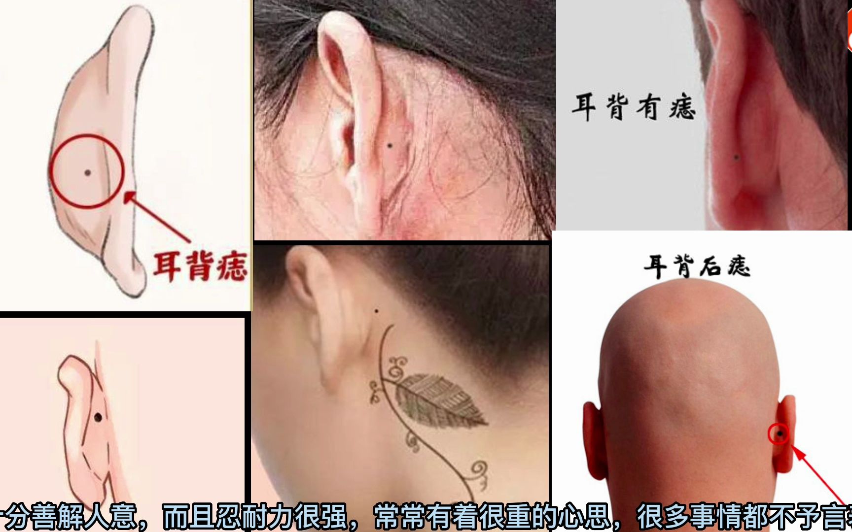 麻衣看相识人"耳朵背后有痣"!