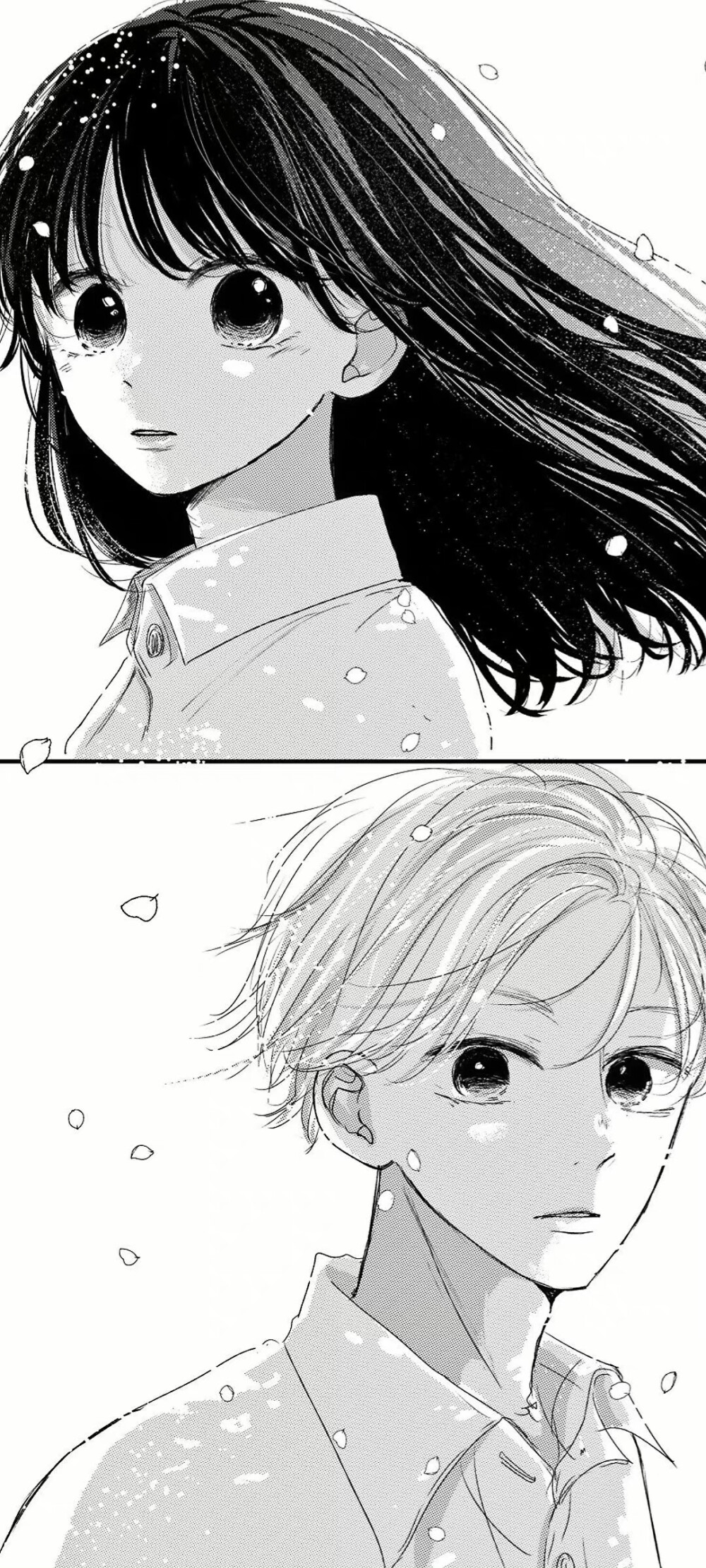 黑白动漫壁纸 cr.yuki喵酱喵