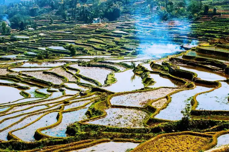 耕作艺术的典范——梯田之美