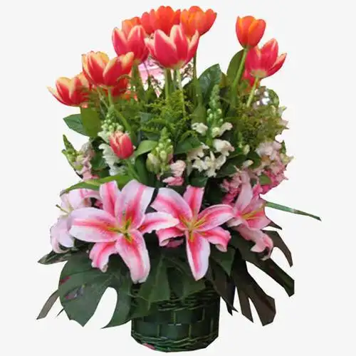 关键词 : 郁金香,百合,粉色,实物,花束