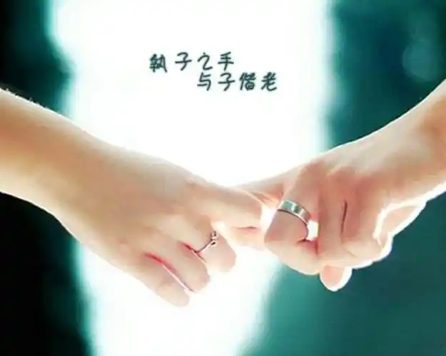 执子之手 与子偕老