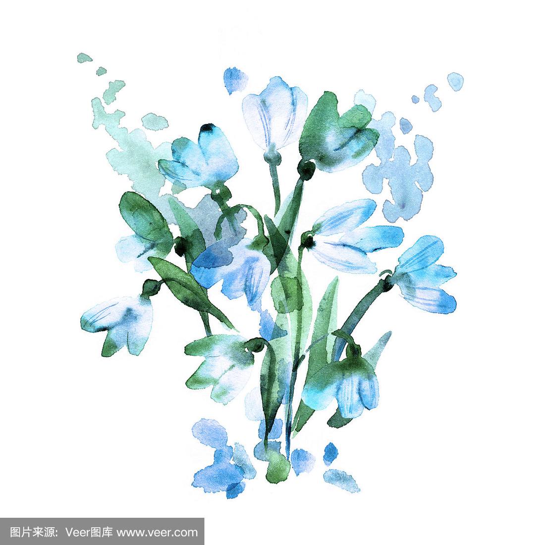 水彩手画雪花莲孤立在白色的背景.春天的花.