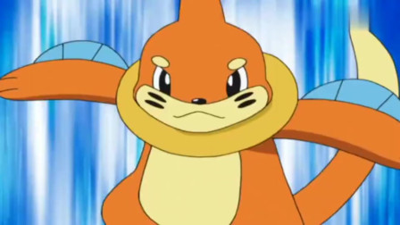 神奇宝贝:泳气鼬使出"螺旋丸"绝招,终于打败了自己的进化体