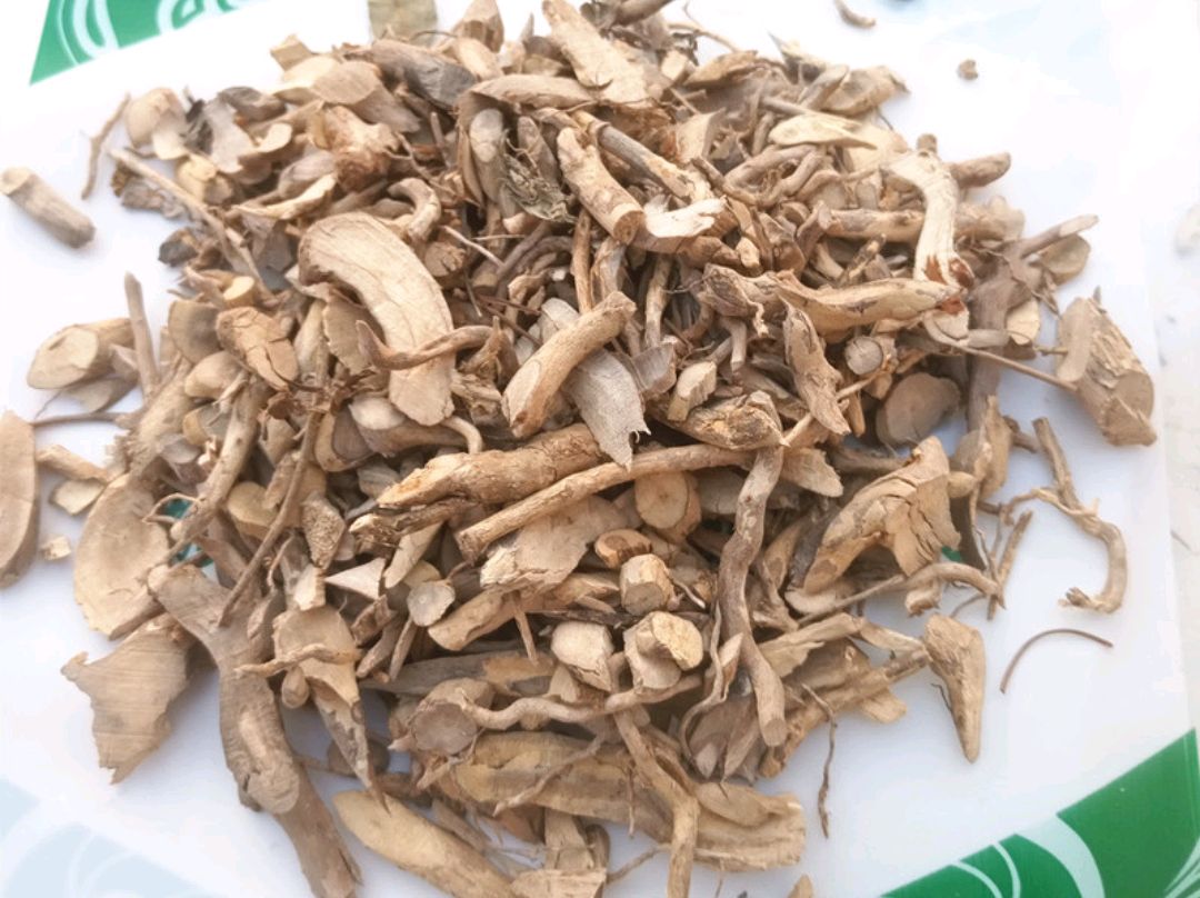 中药古今研究:白马骨