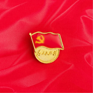 党徽标准型胸章胸针别针党员纪念品