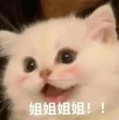 猫猫表情但是它会撒娇叫姐姐诶