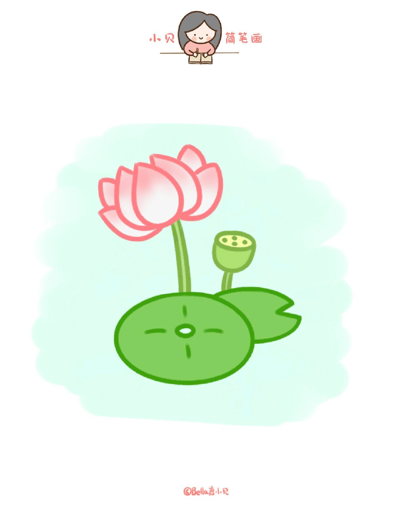 小贝简笔画-莲花 描边颜色荷花:粉红色荷花茎莲蓬:浅绿荷叶:深绿.
