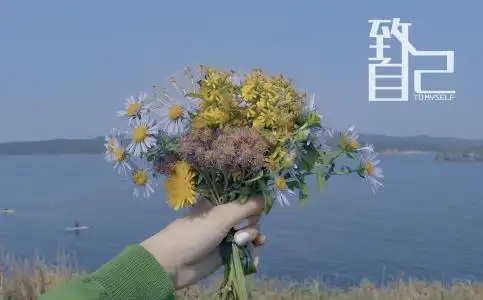 晚安寂静唯美夜景