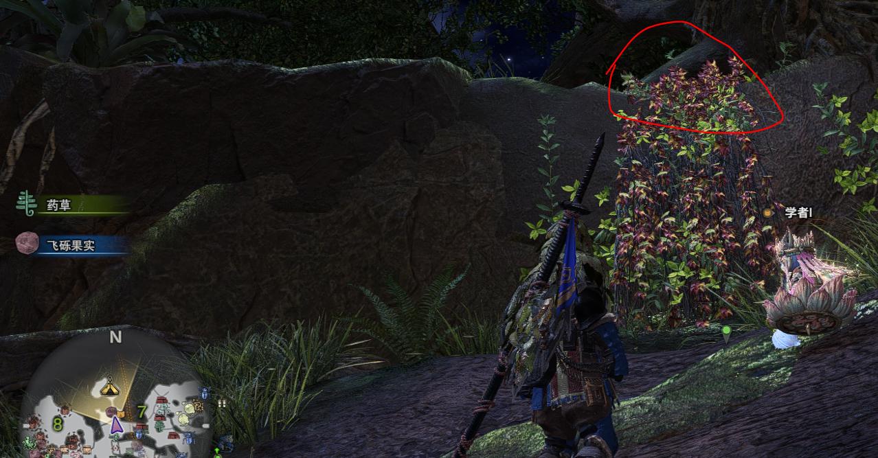 怪物猎人世界古代树森林营地找怪物