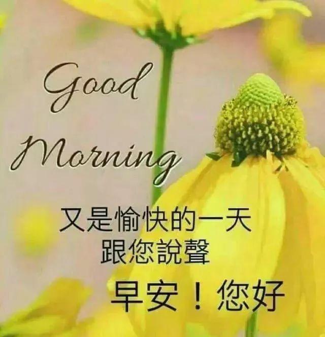 内涵有哲理的冬天早安说说,最美的早安问候图片表情带字
