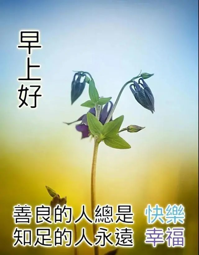 2021年9月7日最新早安问候祝福动态表情图片暖心早安问候语祝福语短信