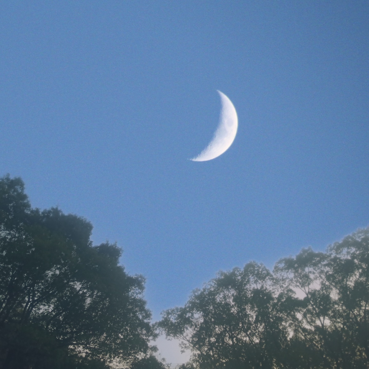 月牙弯弯秋冬的月亮