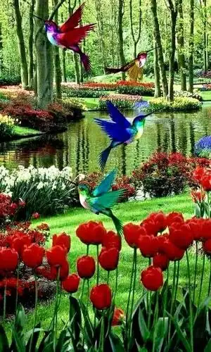 鸟语花香春如诗