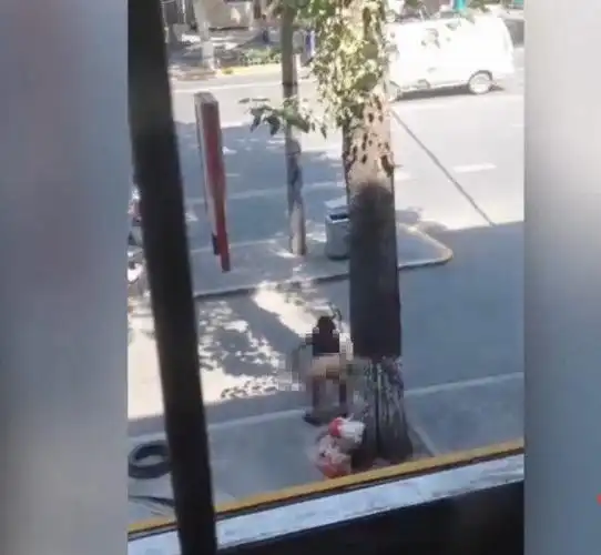 近日有网友拍下了一段女子光天化日之下在大街上淡定方便的不雅视频