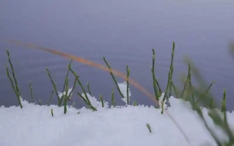 瑞典冬天雪景日系原宿风壁纸