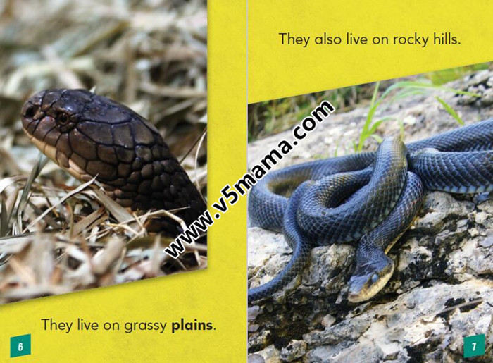 slitheringsnakes蛇主题英文绘本6册高清pdf